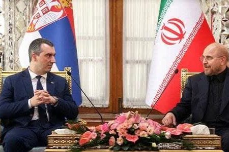 ضرورت توسعه همکاری‌های ایران و صربستان در حوزه‌های نفت و پتروشیمی