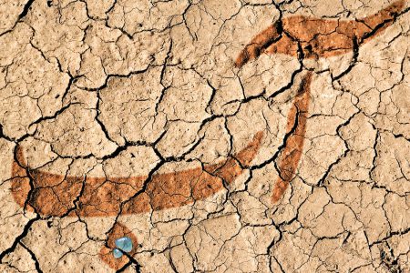 ایران و چهارمین سال متوالی خشکسالی؛ آب هست اما خیلی کم!
