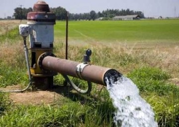 راهکار گذر از تابستان داغ ۱۴۰۳؛ کاهش آب کشاورزی
