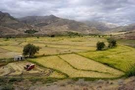 ۱۸ میلیون هکتار اراضی کشاورزی در کشور وجود دارد