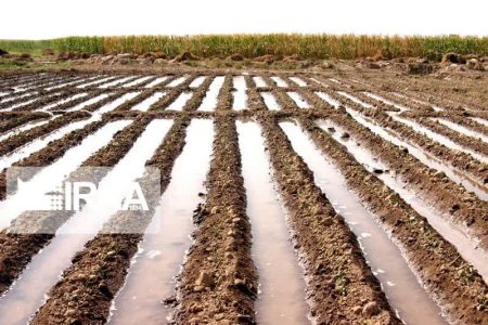 ضرورت کاهش مصرف آب در بخش کشاورزی با هدف تأمین حقابه تالاب‌ها