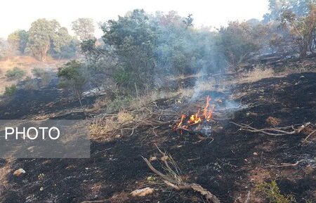 ورود کمیسیون کشاورزی مجلس به آتش‌سوزی جنگل‌ها