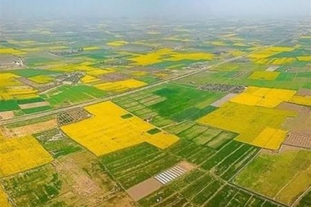 حدنگاری ۷۷ درصد از اراضی کشاورزی