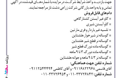 ۴۳۶۶ مزایده – شرکت زراعی دشت ناز – فروش دام