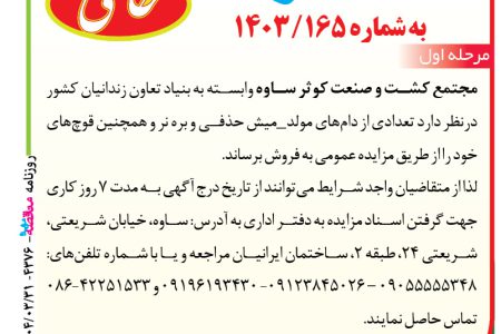 ۴۳۷۶ مزایده – مجتمع کشت و صنعت کوثر ساوه – فروش دام