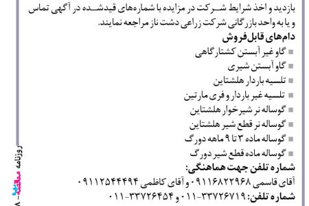 ۴۳۸۸ مزایده – شرکت زراعی دشت ناز – فروش دام