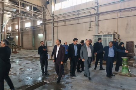 بازگشت کارخانه‌های راکد به چرخه تولید با حمایت دولت