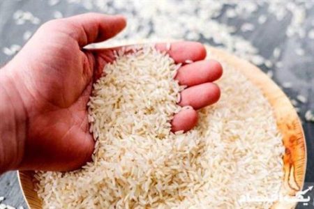 برنج در کیسه سودجویان!
