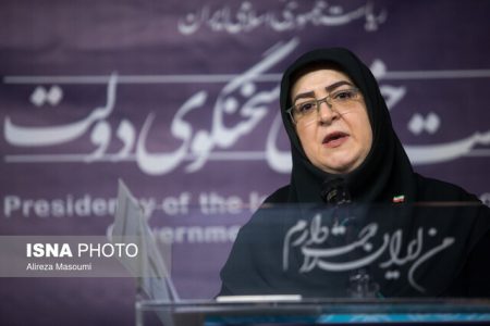 سخنگوی دولت: تندروی به معنای پیروی از ولایت نیست