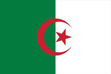مناقصات در الجزایر (قسمت دوم)