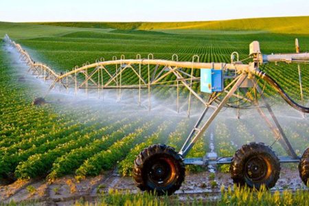 سیاست‌های نادرست خودکفایی کشاورزی، عامل اصلی بحران آب